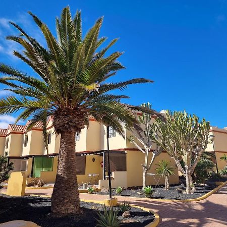 Ocean Forty C Apt. Green Oasis Costa Calma Fue Luaran gambar